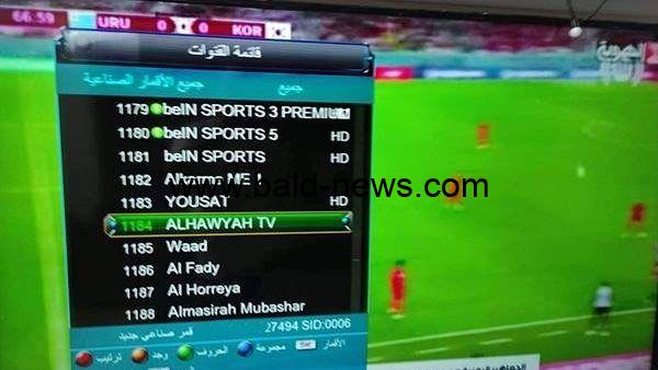 تردد قناة الهوية الجديد 2023 Al Hawyah TV لمشاهدة مباريات كأس العالم