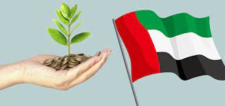 ما هي المستندات المطلوبة للحصول على مساعدة مالية في الإمارات