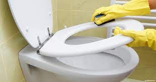 طريقة عمل منظف للمرحاض في المنزل