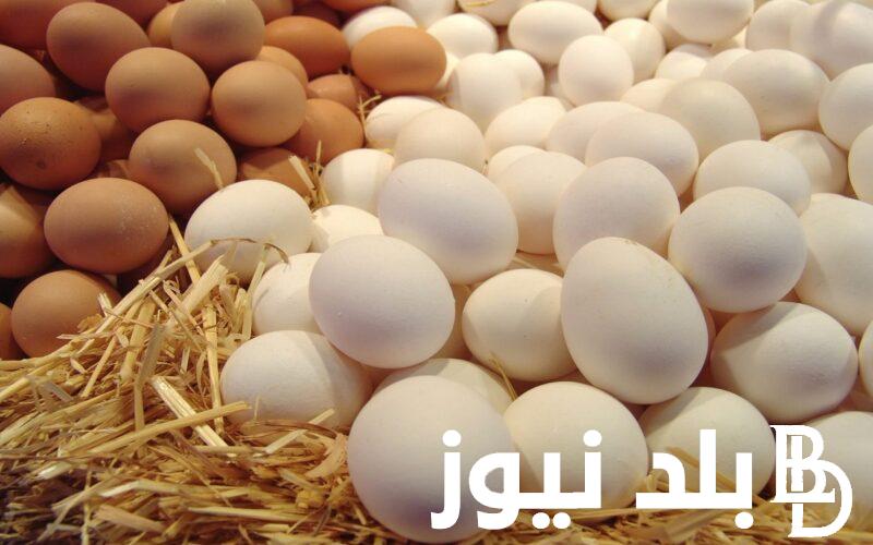 سعر كرتونة البيض اليوم الاثنين 30 اكتوبر 2023 في مصر للمستهلك في السوق المحلية