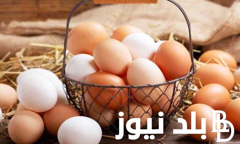 تعرف على سعر كرتونة البيض اليوم جملة “تحديث الأسعار” تعرف على الأسعار الجديدة لطبق البيض في مصر