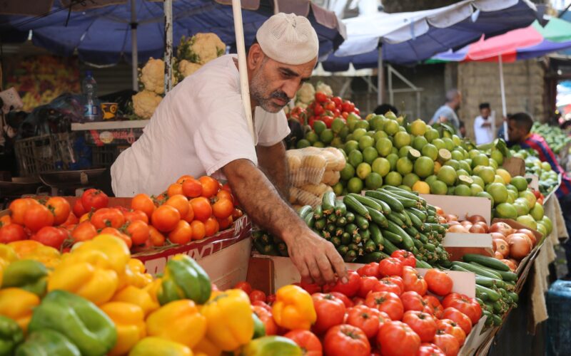 تعرف على.. أسعار الخضار اليوم بالكيلو الإثنين 30/10/2023 في مصر للمستهلك بسوق العبور