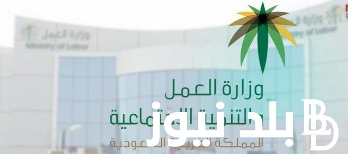 الآن.. استعلام عن خدمات مكتب العمل 2023 من خلال موقع وزارة الموارد البشرية بالسعودية