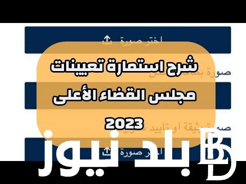 الآن رابط تعيينات مجلس القضاء الاعلى في العراق 2023 sjc.iq بالشروط والأوراق المُعلن عنها من خلال المجلس