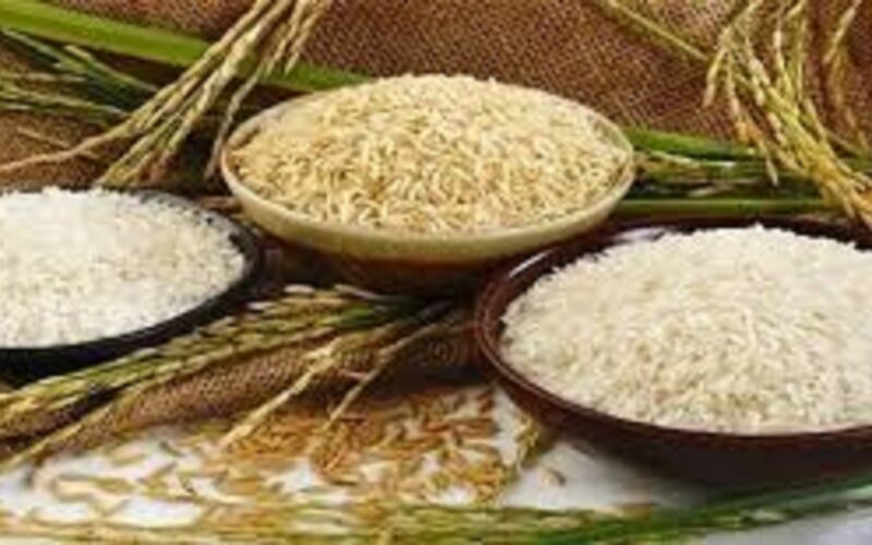الرز بكام؟ أسعار الأرز الشعير اليوم الخميس 26 اكتوبر 2023 للمستهلك في الاسواق