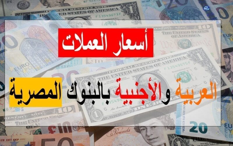استقرار أسعار العملات في مصر اليوم الأحد 22/10/2023 في البنوك المصرية والسوق الموزاية