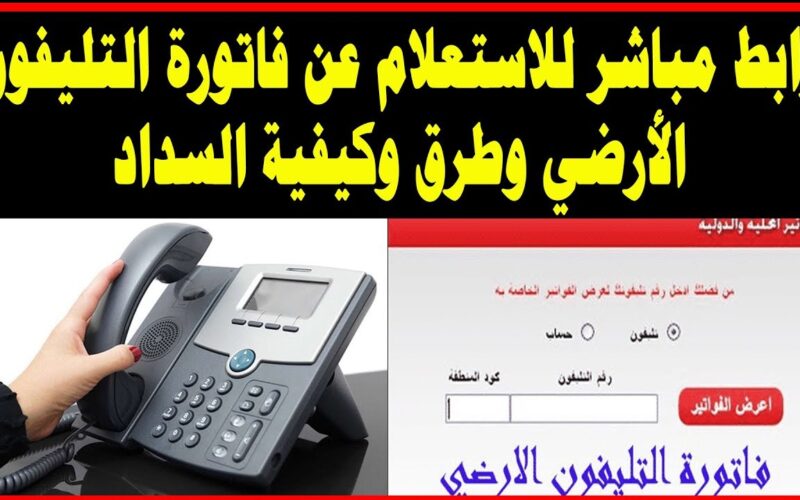 طريقة سداد فاتورة التليفون الارضي 2023 شهر اكتوبر من خلال المصرية للاتصالات وتطبيق MyWE