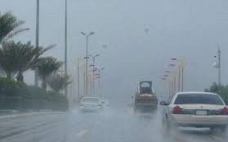 “الأرصاد الجوية ” حالة الطقس في الايام المُقبلة | مصر تشهد تقلبات جوية خلال الايام القادمة حسب تقارير هيئة الارصاد