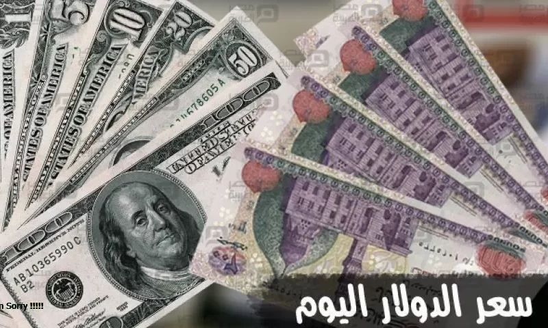 بكام النهاردة؟ سعر الدولار اليوم في السوق السوداء والبنوك المصرية