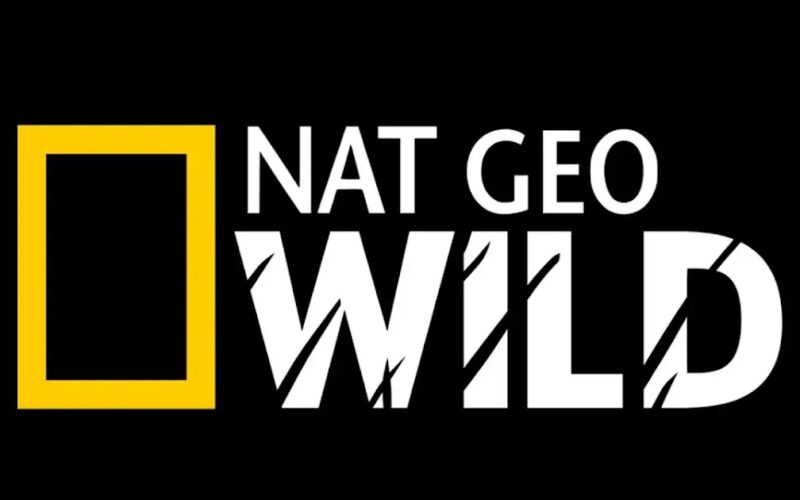 تثبيت تردد قناة ناشيونال جيوغرافيك HD الجديد 2023 National Geographic على نايل سات وعرب سات لمتابعة برامج الحياة البرية بجودة عالية HD