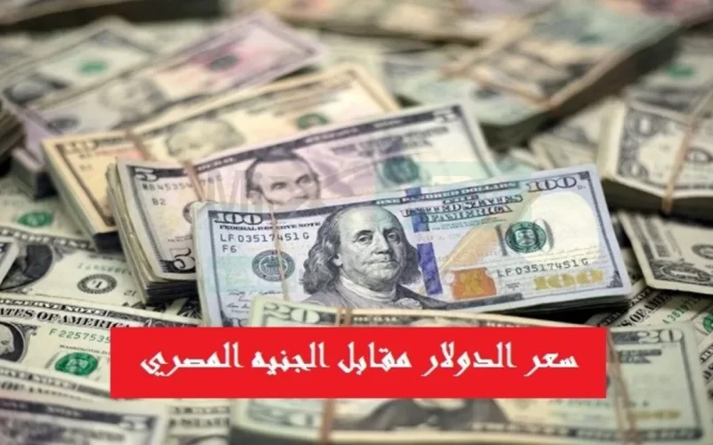 “قفزة صاروخية” سعر الدولار مقابل الجنيه المصري في السوق السوداء اليوم الاربعاء 22 نوفمبر 2023