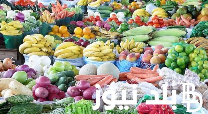 “الطماطم بـ6 جنية” أسعار الخضروات والفاكهة بمصر اليوم الأحد 26 نوفمبر 2023 وفق الموقع الرسمي لسوق العبور