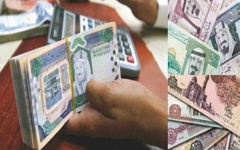 سعر الريال السعودي مقابل الجنيه المصري في السوق السوداء بتاريخ الاثنين الموافق 13 نوفمبر 2023