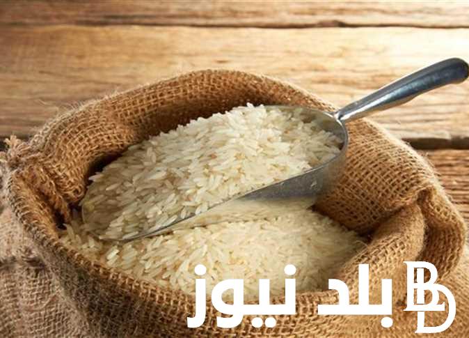 الارز بكام؟.. أسعار الأرز المصري اليوم السبت 11 نوفمبر 2023 بالأسواق للمستهلك
