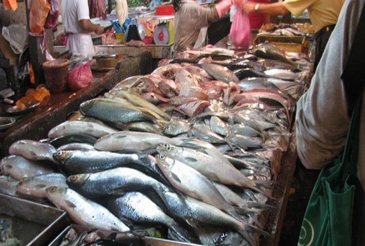 ننشر جدول أسعار السمك اليوم بسوق العبور الأربعاء 29-11-2023 للمستهلك