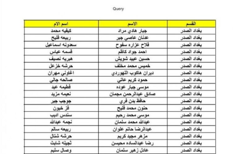 pdf الآن أسماء المشمولين بالرعاية الاجتماعية بالعراق 2023-2024 من موقع وزارة العمل العراقية molsa.gov.iq