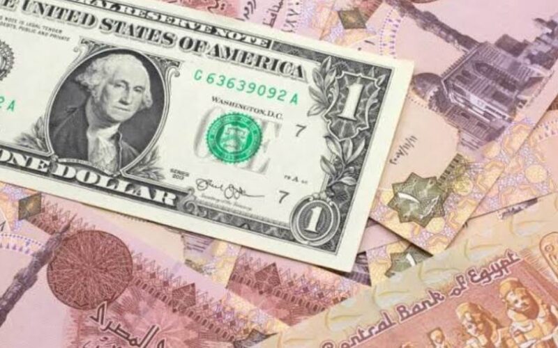 “الـدولار في الطـــالع” سعر الدولار مقابل الجنيه المصري في السوق السوداء اليوم الاثنين 20 نوفمبر 2023