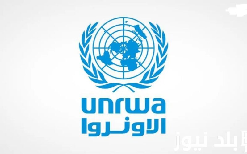 “من هُنا” رابط فحص طحين الوكالة UNRWA لأهالي غزة 2023 من خلال foodaid.azurewebsites