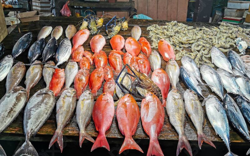 “هتتغدي سمك النهارده يامعلم” أسعار السمك اليوم بسوق العبور الثلاثاء 28 نوفمبر 2023 للمستهلك في مصر