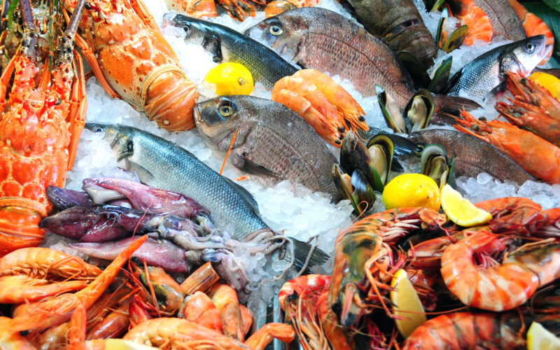 “الجامبو بكام؟” ما هي أسعار السمك اليوم للمستهلك السبت 18 نوفمبر 2023 في سوق العبور