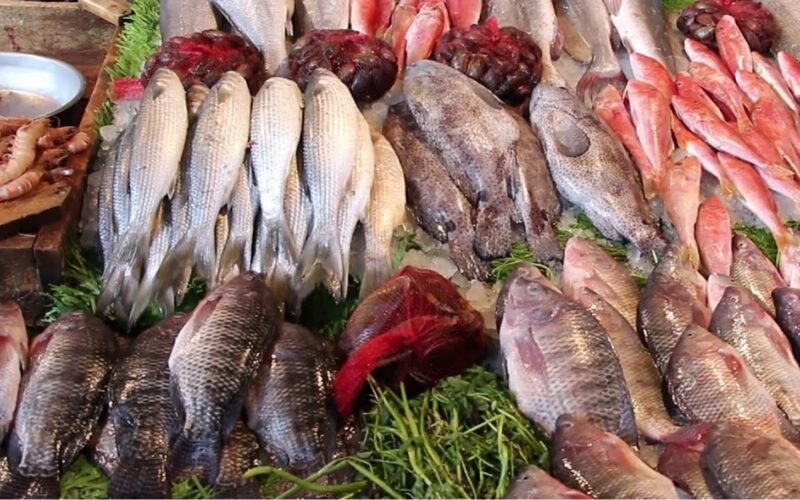 ننشر جدول اسعار السمك اليوم السبت 25-11-2023 للمستهلك في سوق العبور
