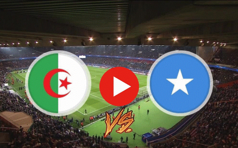 “Algeria vs Somalia” .. استقبل القنوات الناقلة لمباراة الجزائر والصومال في تصفيات كأس العالم 2026