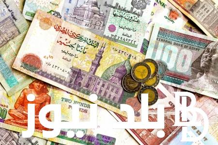 أسعار العملات في السوق السوداء اليوم في مصر الاحد 12 نوفمبر 2023