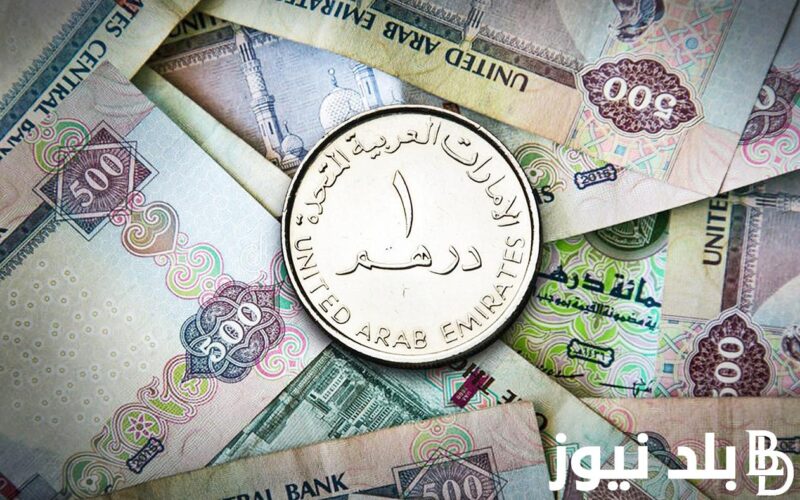 سعر الدرهم الاماراتي اليوم في السوق السوداء الثلاثاء 28 نوفمبر2023 امام الجنية المصري