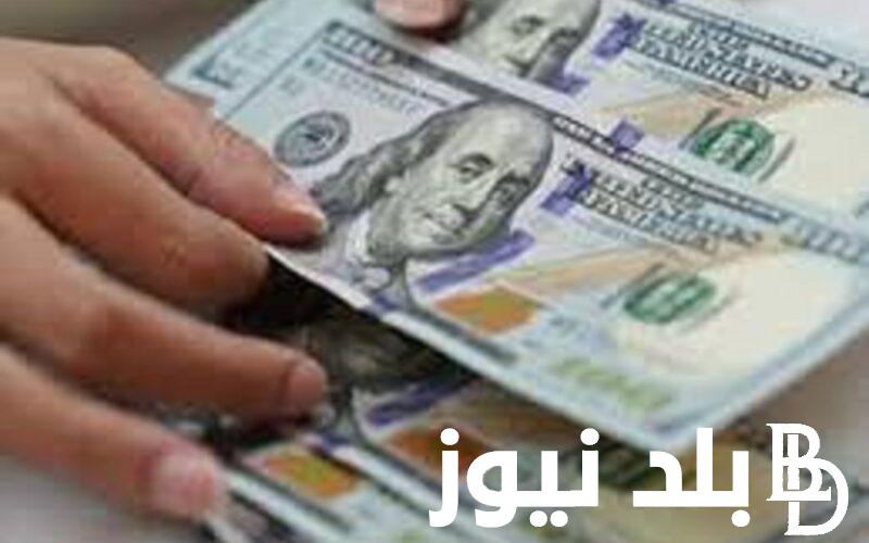 صعـود سعر الدولار اليوم السوق السوداء 8/11/2023 مقابل الجنيه المصري