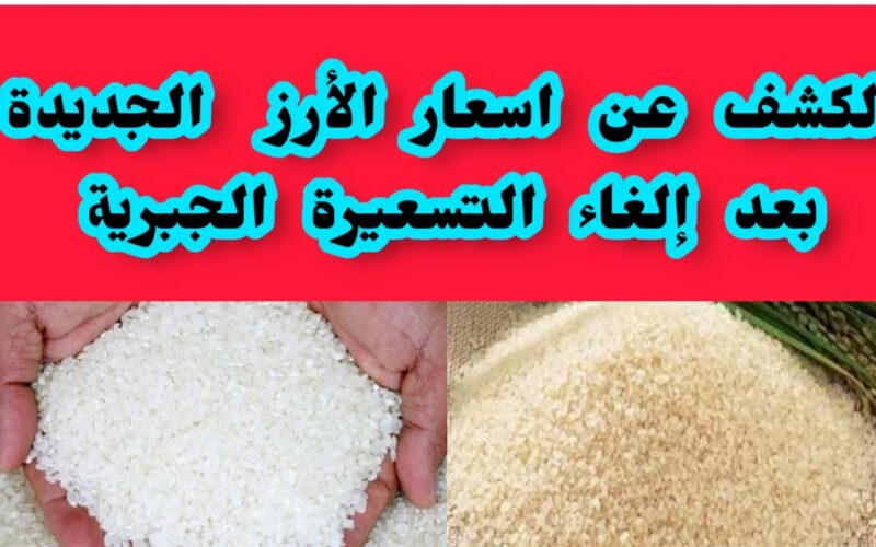 ‎أعرف الآن.. سعر طن الأرز الشعير اليوم الثلاثاء 28/ 11/ 2023 في مصر للمستهلك في السوق المحلي