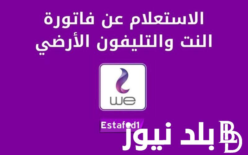 “ادفع فاتورتك” الاستعلام عن فاتورة التليفون الأرضي شهر نوفمبر 2023 عبر موقع المصرية للاتصالات te.eg