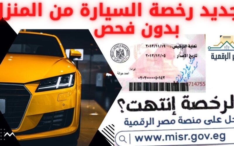 الان.. تجديد رخصة السيارة من منصة مصر الرقمية عبر digital.gov.eg وشروط استخراج الرخصة