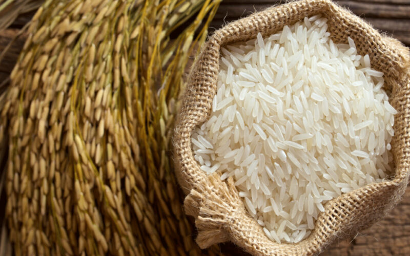 أسعار الأرز الشعير اليوم الاربعاء 8 نوفمبر 2023 للمستهلك في الاسواق المحلية