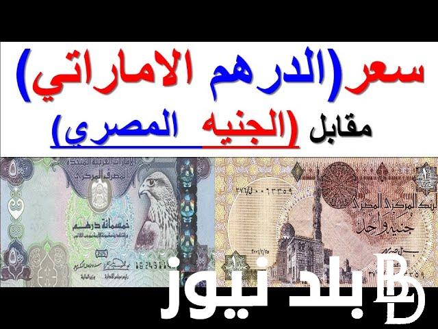 كم سعر الدرهم الاماراتي مقابل الجنيه المصري اليوم الاربعاء 29 نوفمبر 2023 في السوق السوداء والبنوك