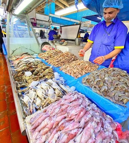 “السمكاية بكام؟” أسعار السمك اليوم بسوق العبور الإثنين 13-11-2023 في مصر للمستهلك