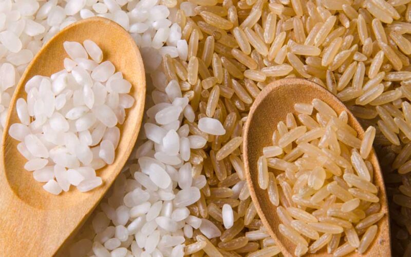 ارتفاع أسعار الأرز الشعير اليوم الأربعاء 15 نوفمبر 2023 للمستهلك بجميع الاسواق والمحلات التجارية