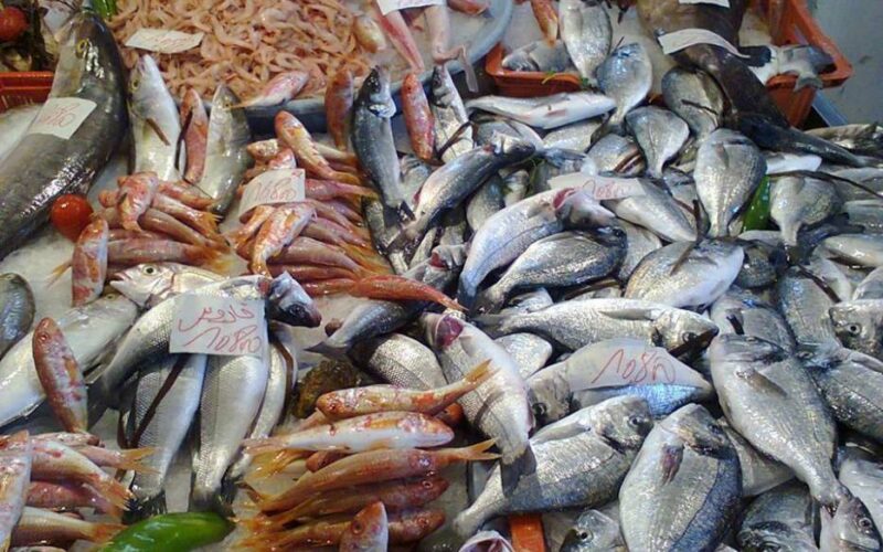 ما هي أسعار السمك اليوم للمستهلك الأحد 19-11-2023 بمصر في سوق العبور