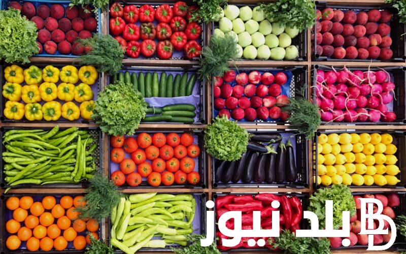 أسعار البصل الآن | اسعار الخضار اليوم الاربعاء 29/11/2023 للمُستهلك في سوق العبور