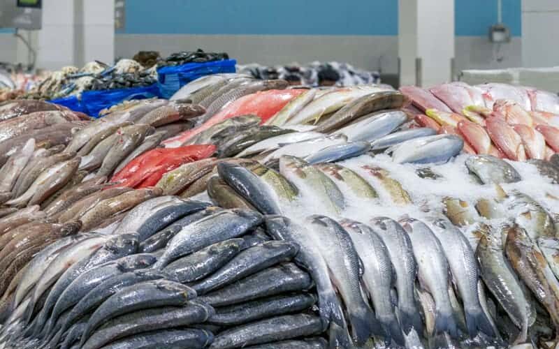 ننشر قائمة اسعار السمك اليوم الإثنين 27 نوفمبر 2023 للمستهلك في سوق العبور