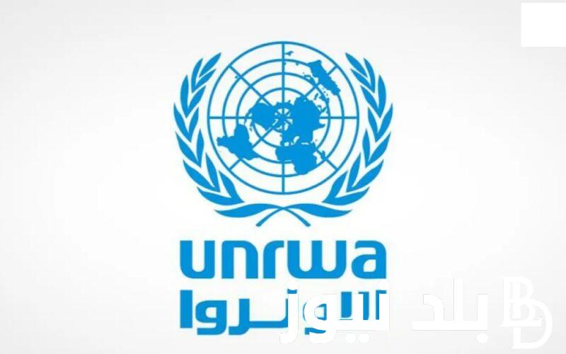 UNRWA فحص موعد استلام المساعدة الغذائية برقم الهوية عبر foodaid.azurewebsites.net