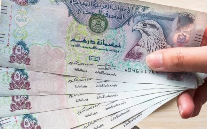 سعر الدرهم الإماراتي مقابل الجنيه المصري في السوق السوداء اليوم الأحد 26 نوفمبر 2023