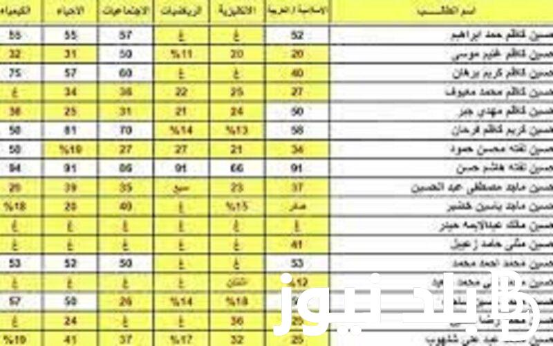 عاجل الان.. نتائج السادس الاعدادي 2023 الدور الثالث في عموم محافظات العراق