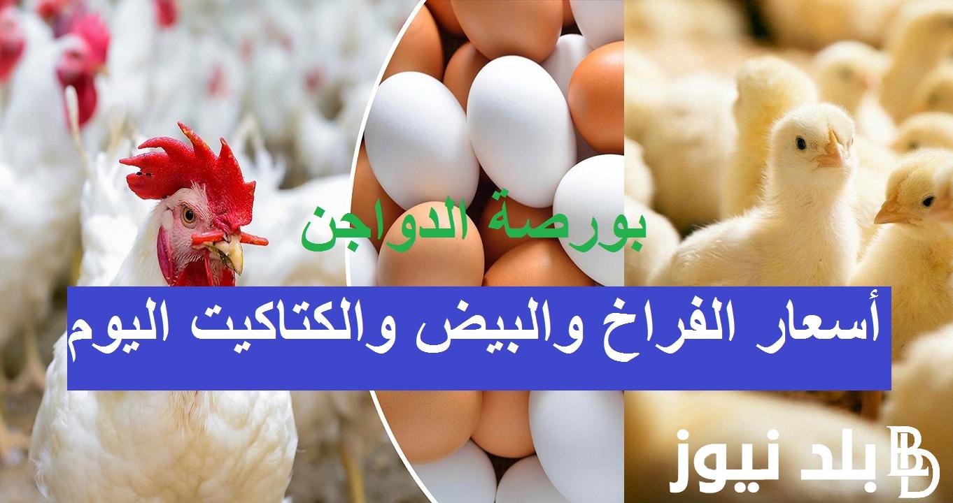 البيضا بكام أسعار الفراخ والبيض بورصة الدواجن السبت 25 11 2023 في كل