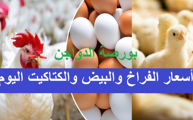 مفاجأة في اسعار الفراخ البيضاء اليوم الاحد 19-11-2023 في المحلات والشركات بمصر