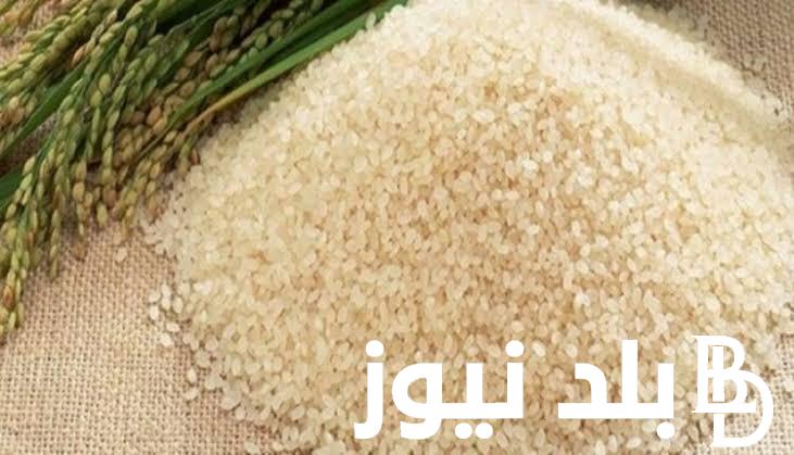 “الطن وصل كام؟” سعر الأرز الشعير الآن في الأسواق المصرية اليوم الاثنين 27/11/2023