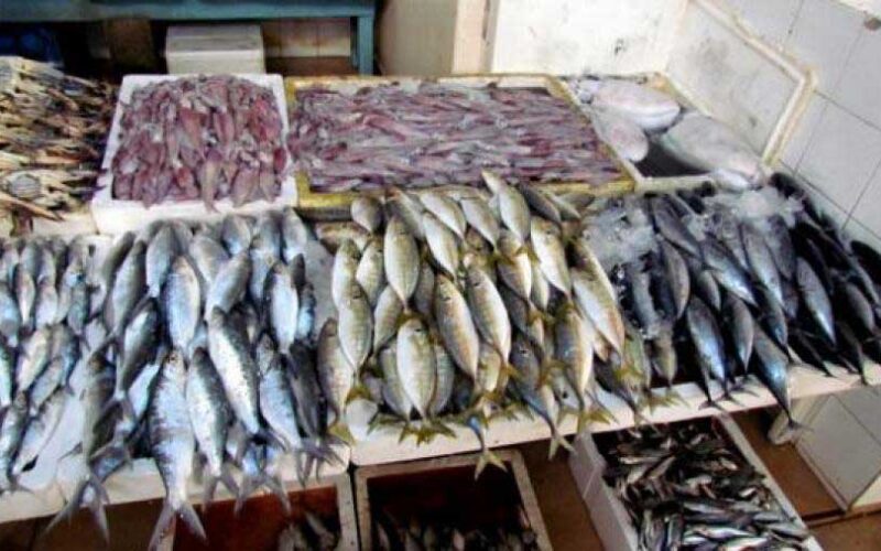 بكم أسعار السمك اليوم في سوق العبور بتاريخ الأحد 26-11-2023 للمستهلك