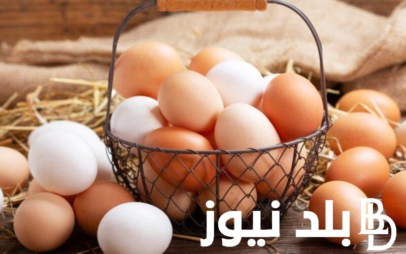 سعر كرتونة البيض اليوم الاثنين 27/11/2023 وفقا لجميع بورصات إنتاج البيض المصرية