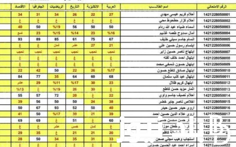 pdf لينك نتائج الثالث متوسط الدور الثالث 2023 بالاسم والرقم الامتحاني عبر موقع وزارة التربية والتعليم العراقية
