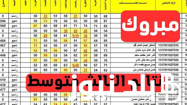 نتائج الدور الثالث الثالث متوسط 2023 بالعراق بالاسم والرقم الامتحاني عبر موقع وزارة التربية العراقية