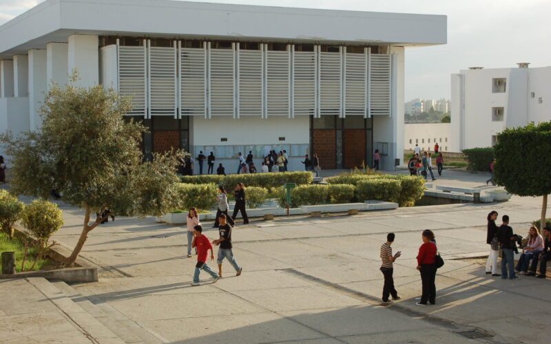 NOW.. نتائج دراسة المنح الجامعية ديوان الجنوب 2023 و الوثائق المطلوبة للحصول على المنحة الجامعية بتونس
